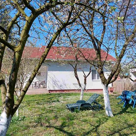 Apartman Dijelovi Bijeljina Buitenkant foto