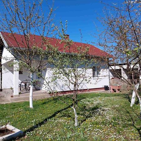 Apartman Dijelovi Bijeljina Buitenkant foto